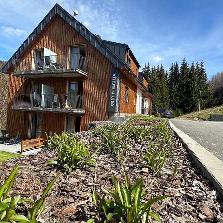 Apartmany U Lesa Dolní Morava Eksteriør billede
