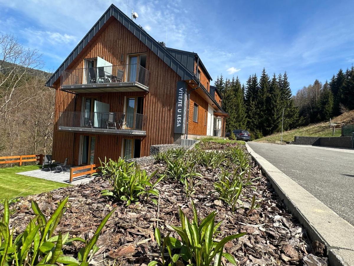 Apartmany U Lesa Dolní Morava Eksteriør billede