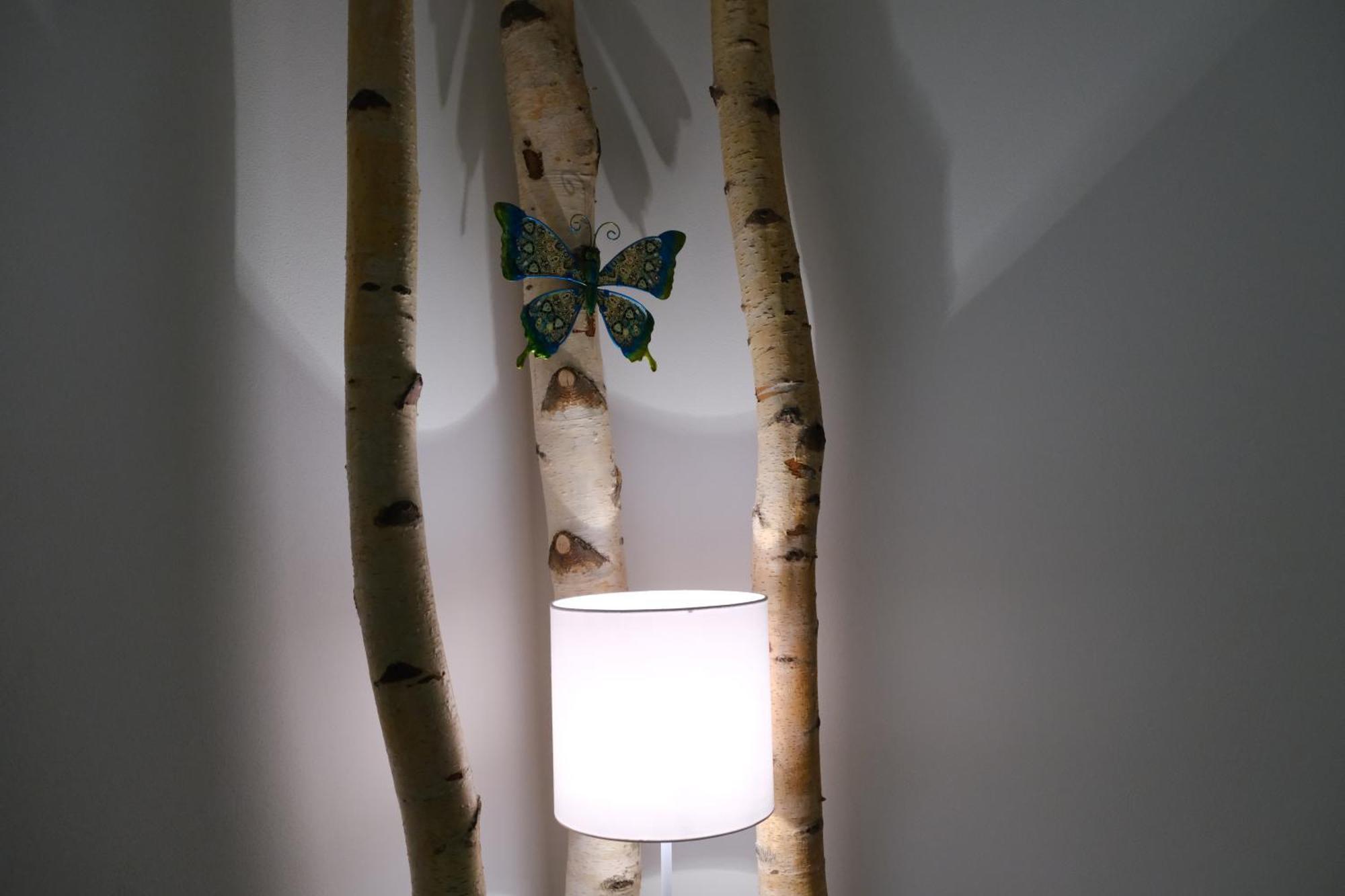 Apartmany U Lesa Dolní Morava Værelse billede